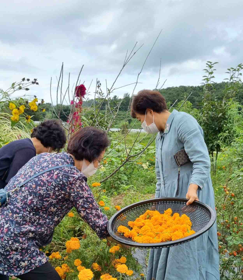 2021 이인면 평생학습 '눈으로 마시는 웰빙 꽃차' 이미지